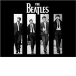 Beatles Fan Base