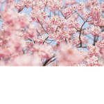 Girly Aesthetic