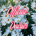~Official Daisies~