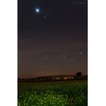 Welcome shiny stars