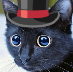 A cat with a hat