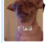 عيال هاي