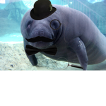 Manatee Inc.