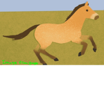 Star Rein Club