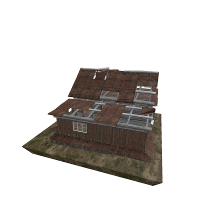 Abandoned Home