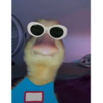 ZiqPlays