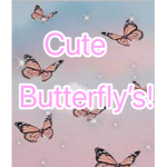 Cute Preppy Butterfly’s!