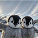 God penguin23456
