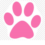 Sugar Paws