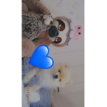 meine cuties