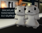 SİNCAP TEAM