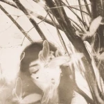 ‘kitten Group Thumbnail