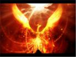 phoenix corp