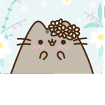 The Official Kawaii PUSHEEN group