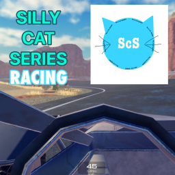 Silly Cat Series : Racing!