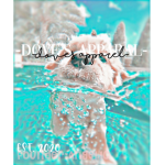 -dove’s apparel-