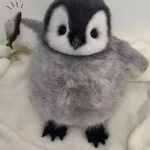 Amazing Penguin Group!!!