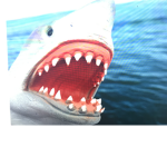 Shark puppet group