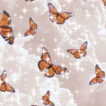 Butter fly rainbow group