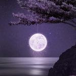 -moonxlight-