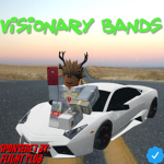 Visionary Bandz