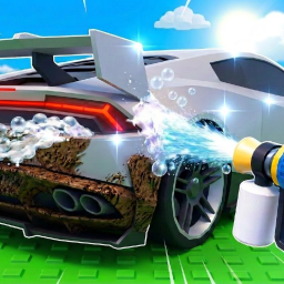 Wash a Car