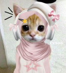 .toddler_Kawaii.
