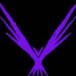 THE VALRAVN CORPORATION.