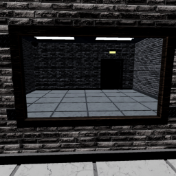 The Mirror