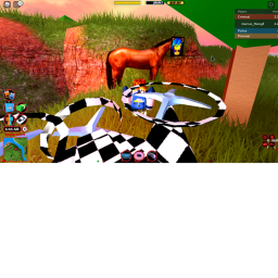 Capture the flag!