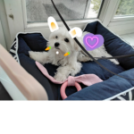 Lami und emily sind besten youtuber der ganzen wel