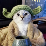 CoOoOl MeOw GrOuP