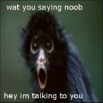 The Monkey Cult