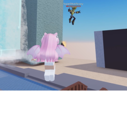 ans ninja sim
