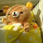 ~ * + . yumi-kuma . + * ~