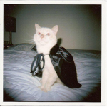 nedorechnyy