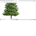 Pine Tree Labs