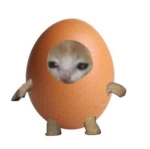 EGGJABI ARMY Group Thumbnail