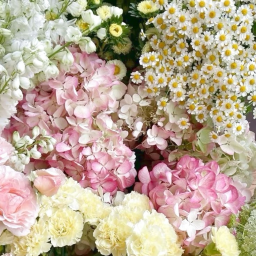 °❀˚
