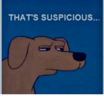 Suspicious Squad