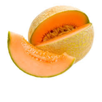 Melon_Fruit