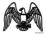 Noobert's Eagles