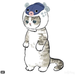 qwezix