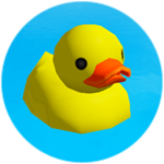 We Are The Cool Ducks