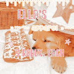 - ella’s ʚɞ apparel -