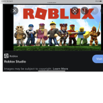 The epic gamers/ roblox gaming crew