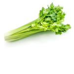 CELERYS