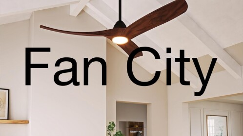 Fan City