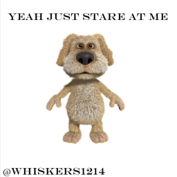Sit and stare at Ben ( small upd )