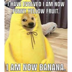 Unkown Fruit